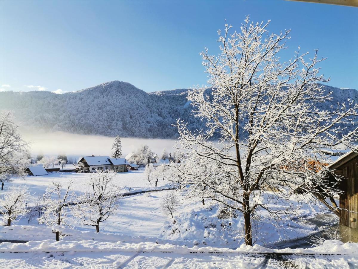 Tourist Farm Mulej Villa Bled Kültér fotó