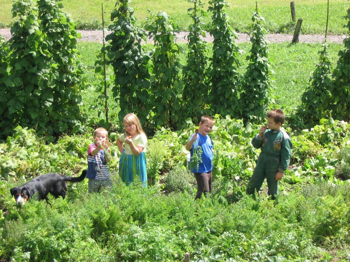 Tourist Farm Mulej Villa Bled Kültér fotó